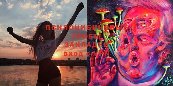 мяу мяу мука Абинск