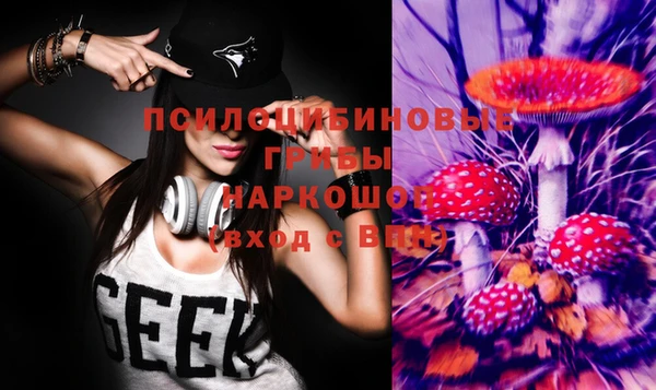 мяу мяу мука Абинск