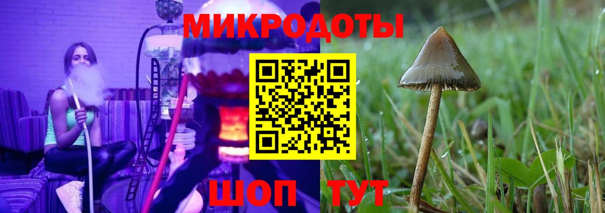 Новокубанск  Псилоцибиновые грибы Psilocybe  купить наркотики сайты  Вход с VPN 